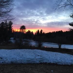 Meet your Posher, Janice